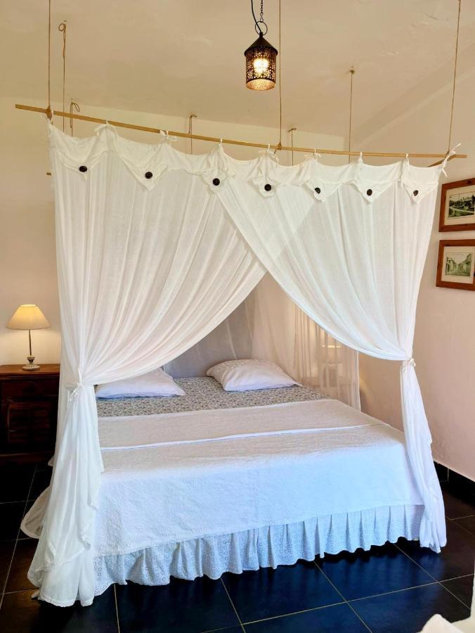 סן-קלוד Habitation La Reine Du Camp Chambres D'Hotes מראה חיצוני תמונה